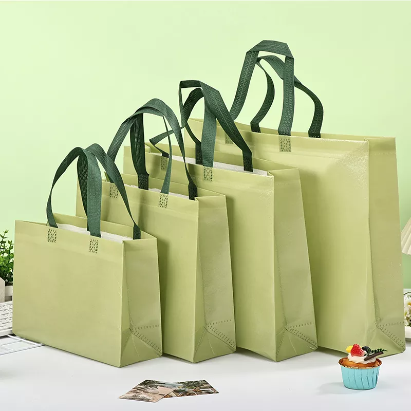 Glanzende gelamineerde non-woven promotionele tas